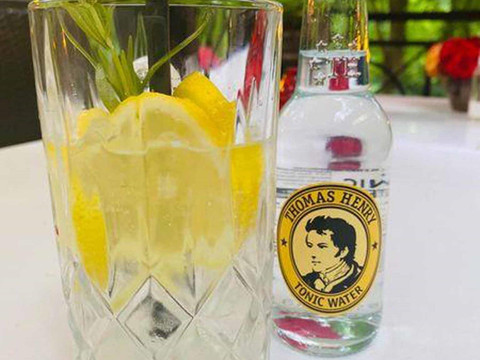Gin Tonis