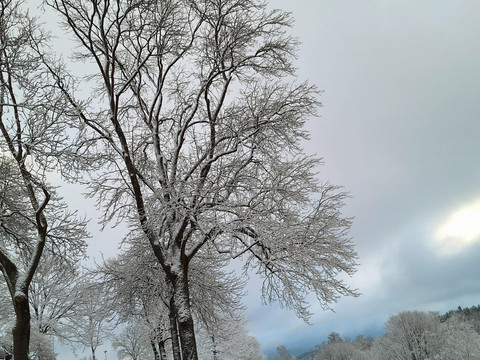 Winter im Erzgebirge