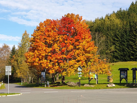 Herbststimmung an der Talsperre Sosa