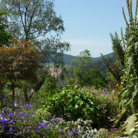 Garten - Ferienwohnung Doris und Paul Kaufmann