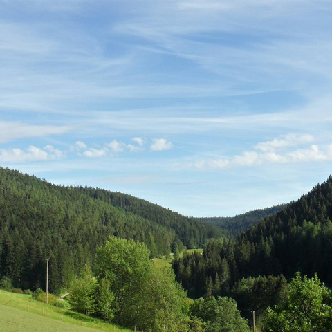 Ausblick - Ferienwohnung Doris und Paul Kaufmann
