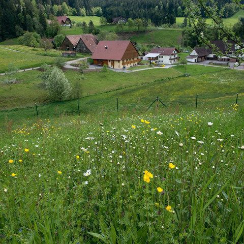 Hausansicht - Bei den Sackmanns