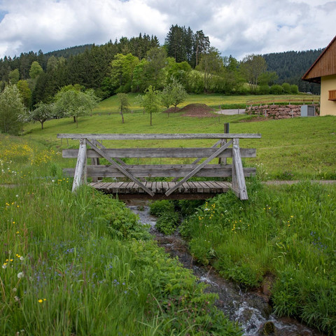 Brückle mit Bach beim Haus