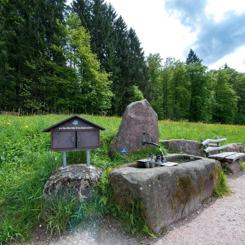 Weinbrunnen in Schwarzenberg am Waldesrand