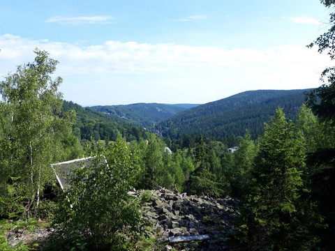 20210628_092427_resized