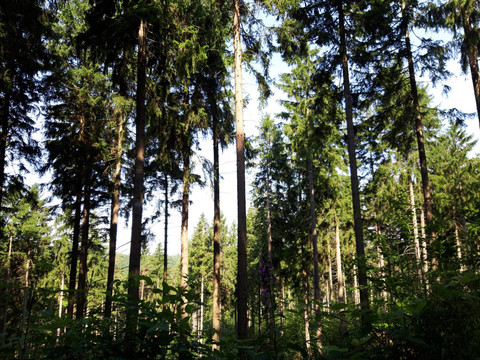 20210628_092957_resized