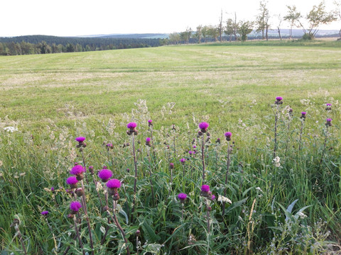 20210621_210502_resized