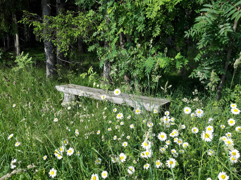 20210627_172544_resized