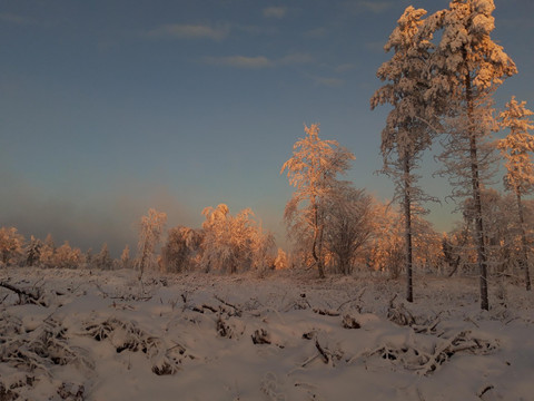 20211212_080913_resized