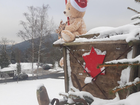 20211211_120438_resized