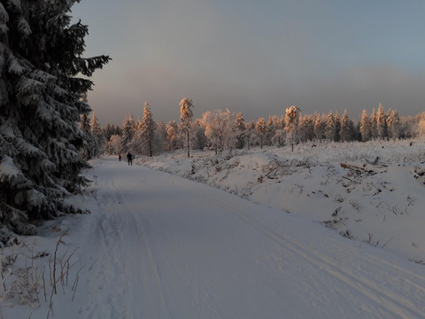 20211212_080836_resized