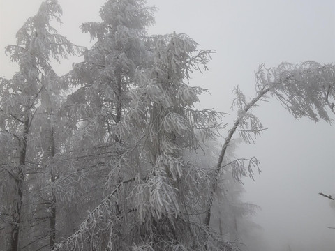 20201220_150526_resized