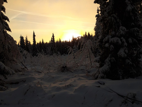 20211212_081552_resized