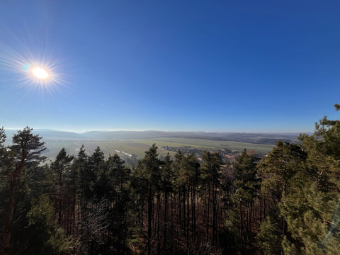 Blick über einen Wald auf eine weite Landschaft mit Feldern unter klarem, blauem Himmel; die Sonne scheint hell.View over a forest to a wide landscape with fields under a clear blue sky; the sun is shining brightly.Pohled přes les na rozlehlou krajinu s poli pod jasnou modrou oblohou; jasně svítí slunce.Widok przez las na rozległy krajobraz z polami pod czystym, błękitnym niebem; słońce świeci jasno.Uitzicht over een bos naar een weids landschap met velden onder een strakblauwe hemel; de zon schijnt fel.Vista su una foresta e su un ampio paesaggio di campi sotto un cielo azzurro e limpido; il sole splende luminoso.