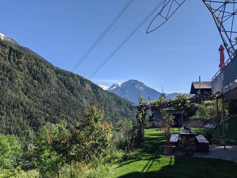 aussenbereich_sommer