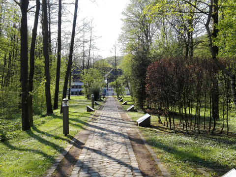 Alte Dombach Steinerner Weg zwischen Bäumen, führt zu einem Haus in sonniger Waldlandschaft in Bergisch Gladbach.