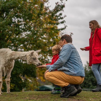 Familie in der Holsteinischen Schweiz © sh-tourismus.deMOCANOX.jpg