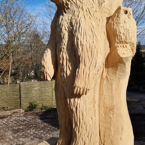 20250223_143214 1_resized