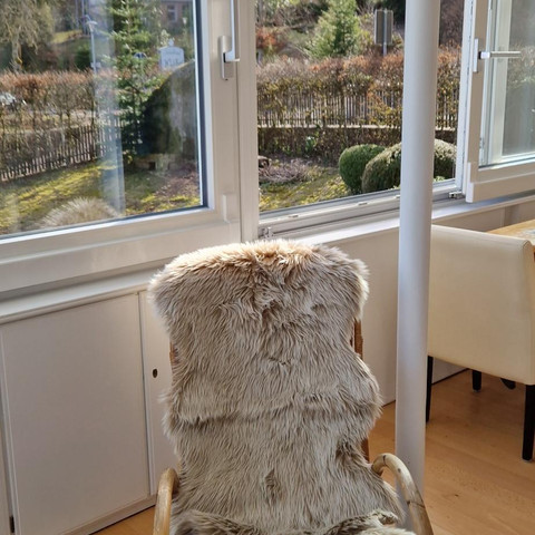 20250223_144053_resized