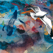 ZVT2025_Sturmmoewe_RenoLottmann_NLPV_1920.jpg Die Sturmmöwe ist Titelvogel der 17. Zugvogeltage im Nationalpark Niedersäschsisches Wattenmeer