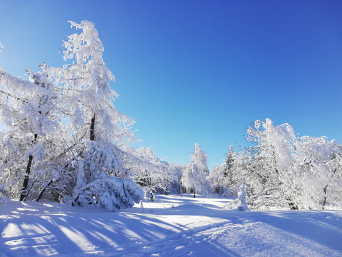 Winter Zinnwald hinterm Haus