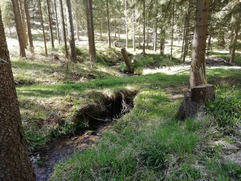 Große Mittweida