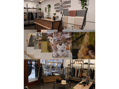 AlpakHarz Braunlage - Shop