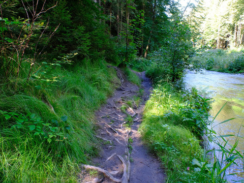 Entlang der Kirnitzsch