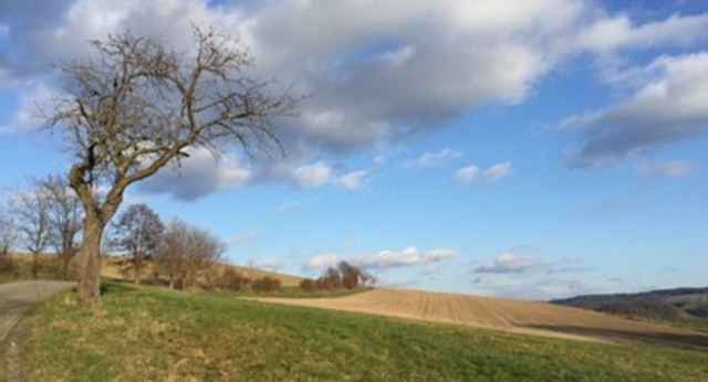 Erlebnispfad Wildenfelser Zwischengebirge Impression 3