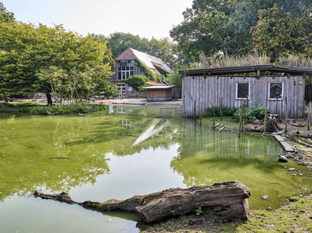 Beverstedter Tierpark CUX-ART Beverstedter Tierpark CUX-ART