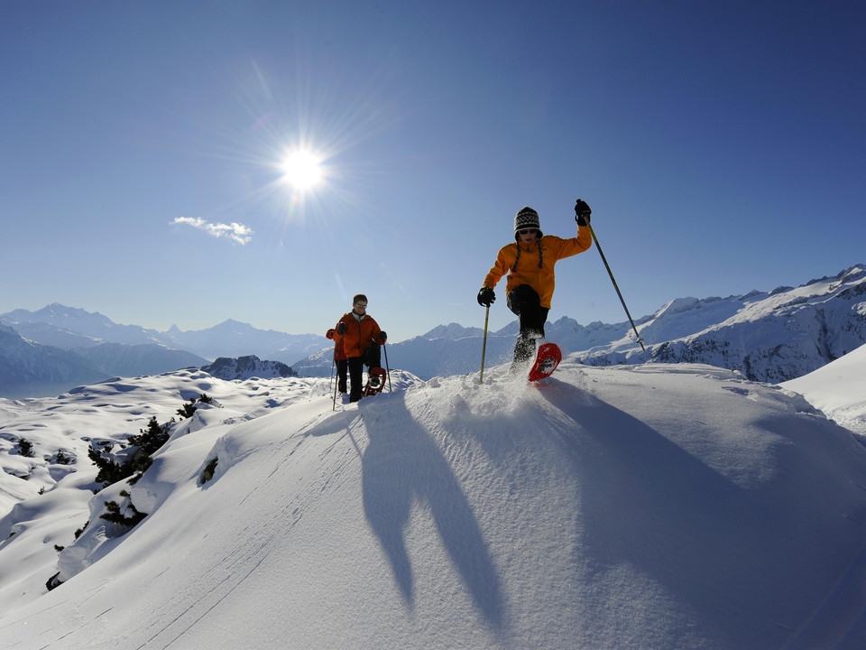 8266265775_82b0a1d7cd_o