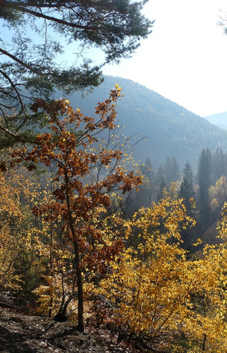 Christianseck im Herbst
