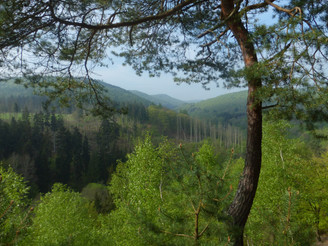 Christianseck im Frühling