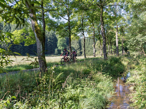 BLOCKLINE Loop 1 - wie ein bad in der Natur