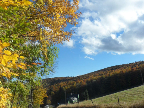 Blick am Donnerberg