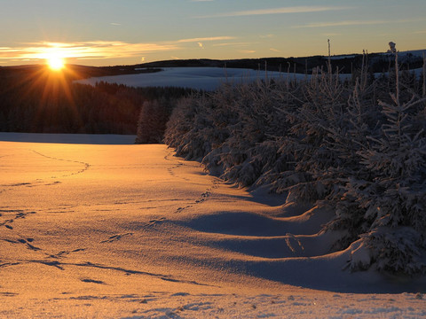 Sonnenuntergang Neu - Hermsdorf