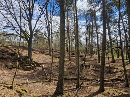 Wildtiergehege Hildburghausen Wildtiergehege Hildburghausen
