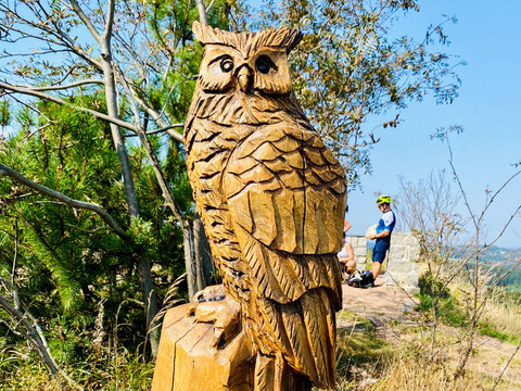 Uhu Figur auf dem Kahleberg