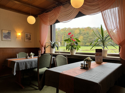 Innenansicht Restaurant - Haus Koppelberg Gemütliches Restaurant mit Tischdecken, Pflanzen und Blick auf herbstlichen Wald durch ein großes Fenster.