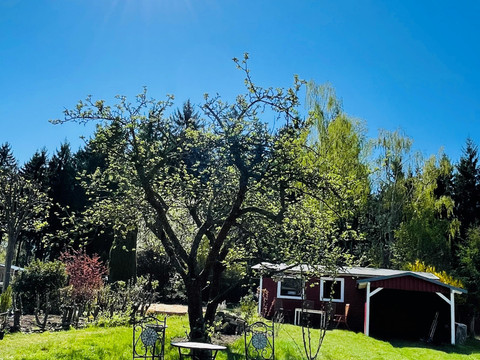Gartenblick Frühjahr