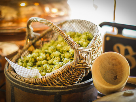 Flechtkorb_Hopfen