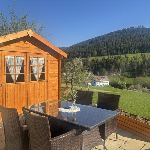 Terrasse mit Grillbenutzung