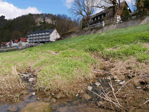 Grüne Wiese mit kleinem Bach im Vordergrund, dahinter Fachwerkhäuser und ein Gebäude auf einem Hügel, unter blauem Himmel mit Wolken.