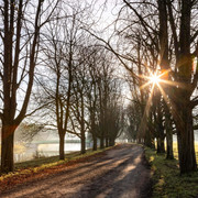 Decksteiner Pond Baumgesäumter Weg am Decksteiner WeiherTree-lined path at Decksteiner Weiher