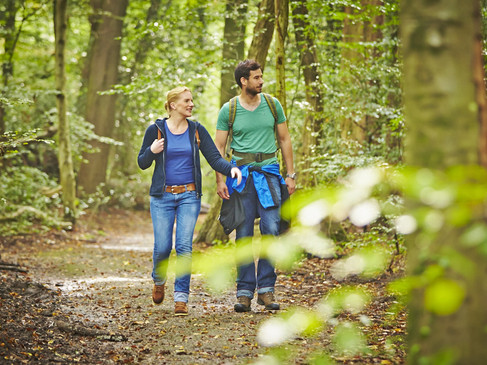 Bentheimer Wald