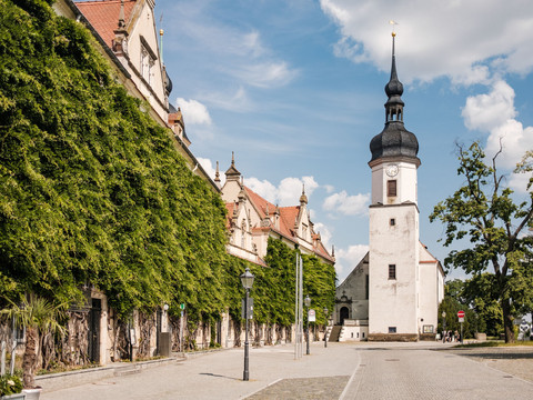 Riesa mit Klosterkirche