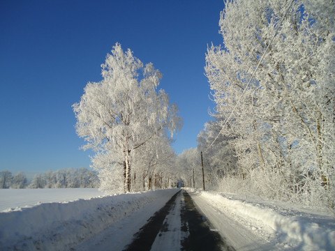 Werdauer Wald - Winter
