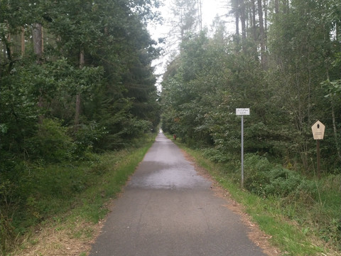 Trünziger Staße durch den Werdauer Wald bei Leubnitz