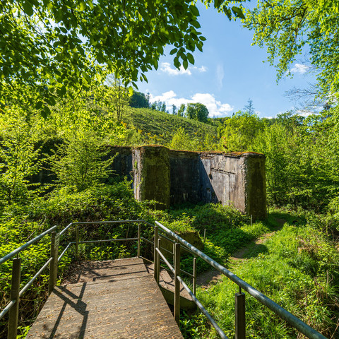 Steg Pulvermühle