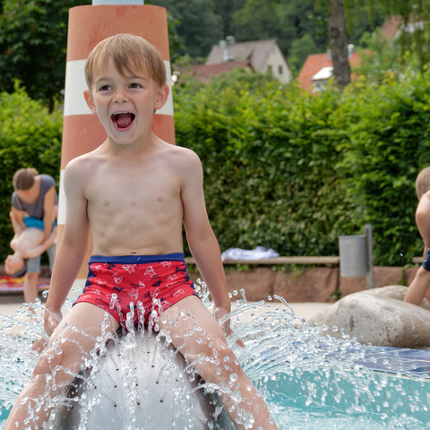 Freibad Altensteig Wasserigel Kinderbadespass Freibad Altensteig Wasserigel Kinderbadespass